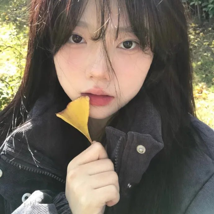 宠儿